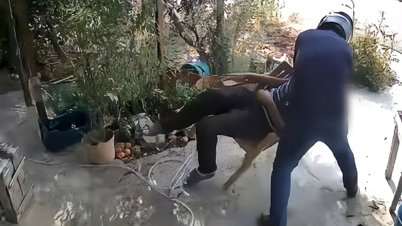 haber-gorseli-1786377368472